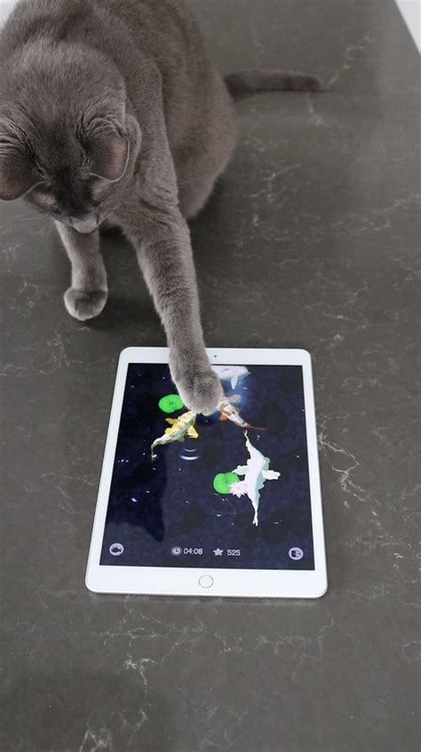Friskies® Brings More Feline Fun with the Reboot of Cat Fishing 2, a.